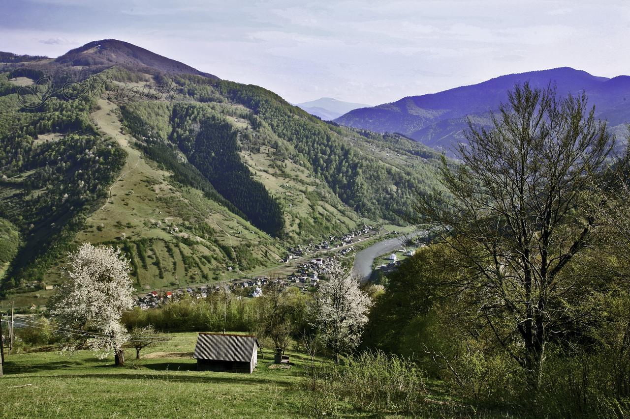 Dream Hostel Carpathians Rakhiv Exterior foto